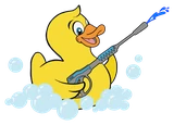 Lake Murray Soft Wash duck logo