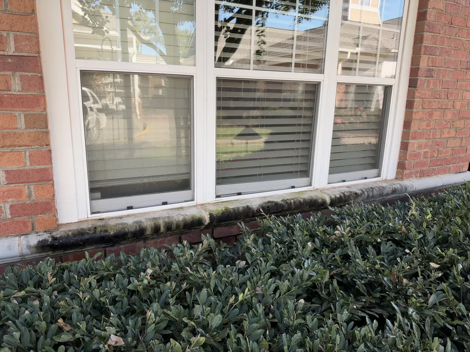 Dark mildew along the windowsill and brick base of a commercial building before cleaning