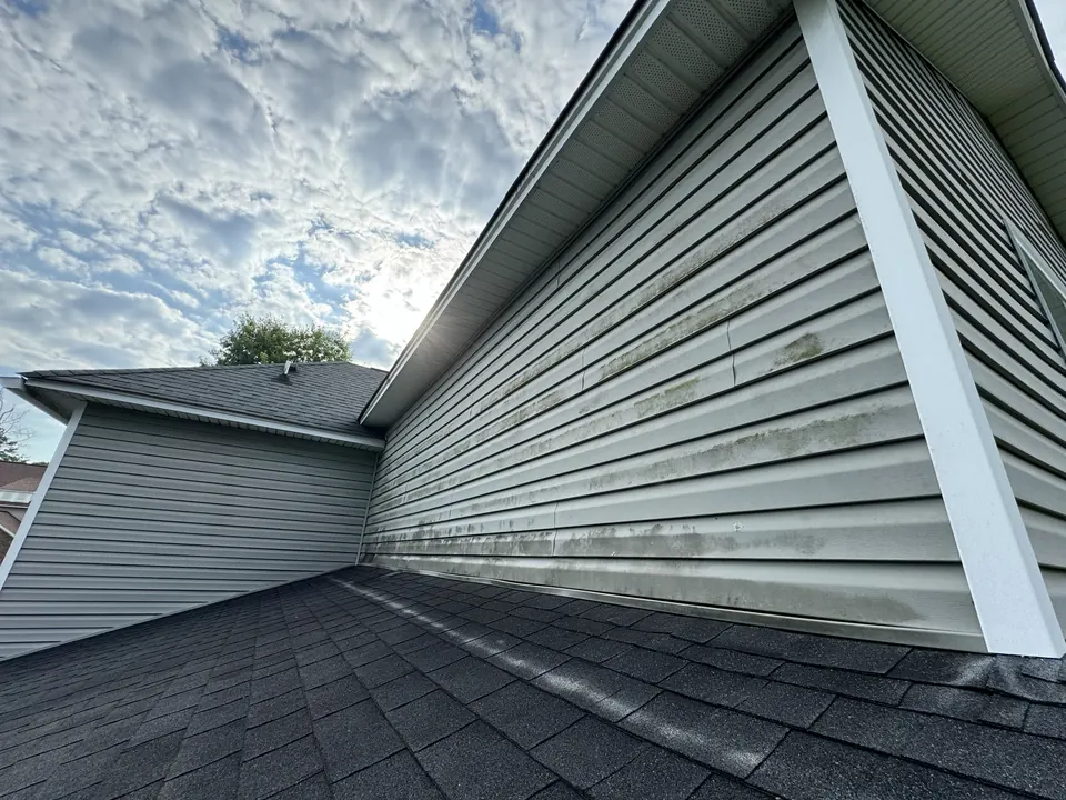 Vinyl siding and shingle roof edge with algae streaking before cleaning