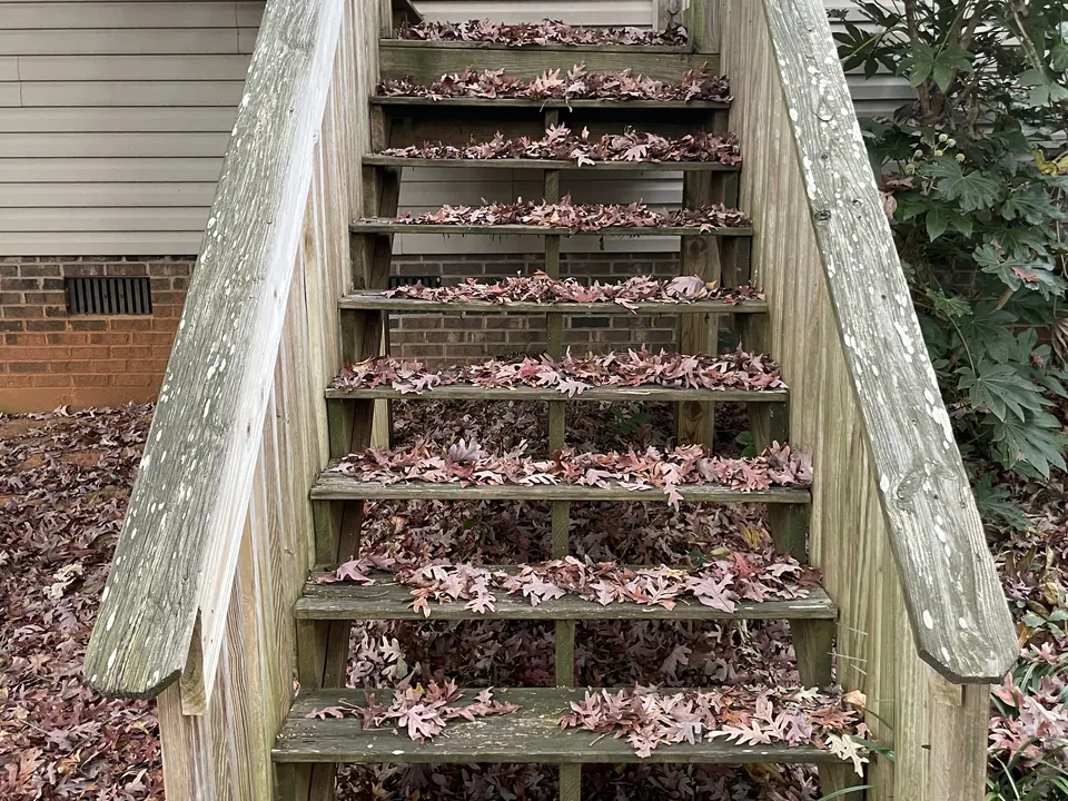 Gray weathered wood stairs covered in fallen leaves before cleaning